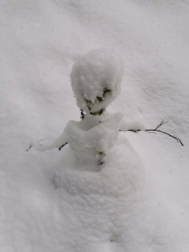 ZPARTNER Wintermeeting 2020. Ein kleiner Schneemann.